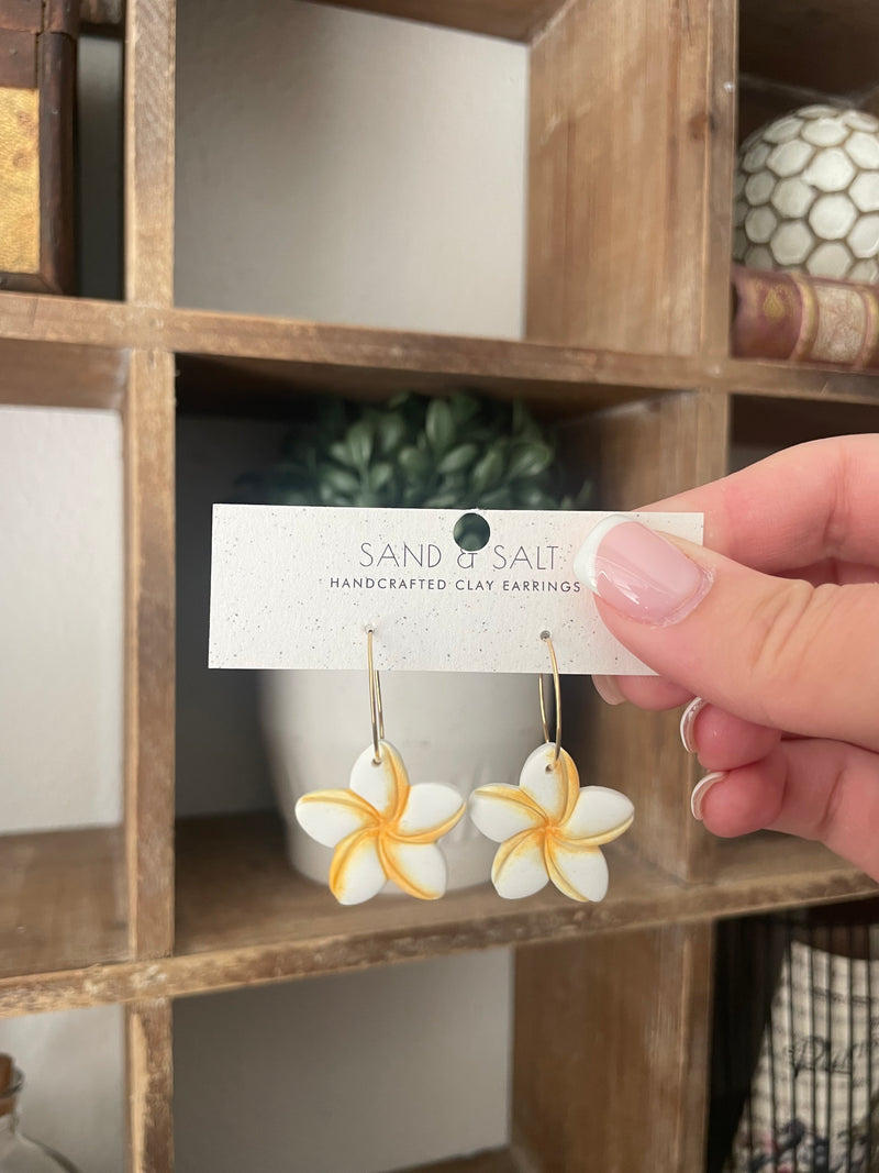 Plumeria flowers