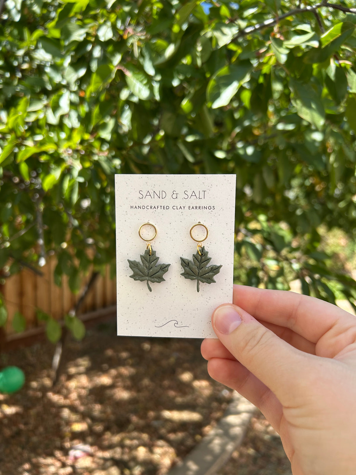 Maple leaves