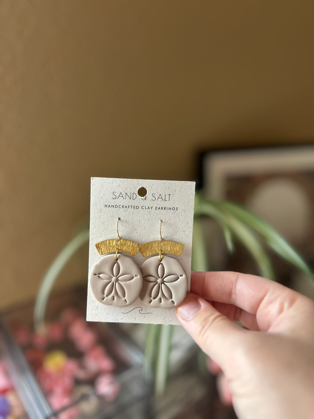 Sand dollar
