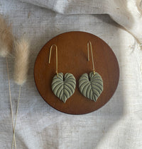 Philodendron leaf