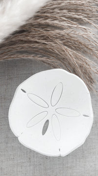 Sand dollar trinket dish