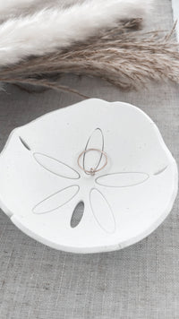 Sand dollar trinket dish