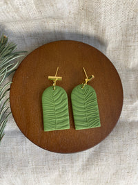 FERN