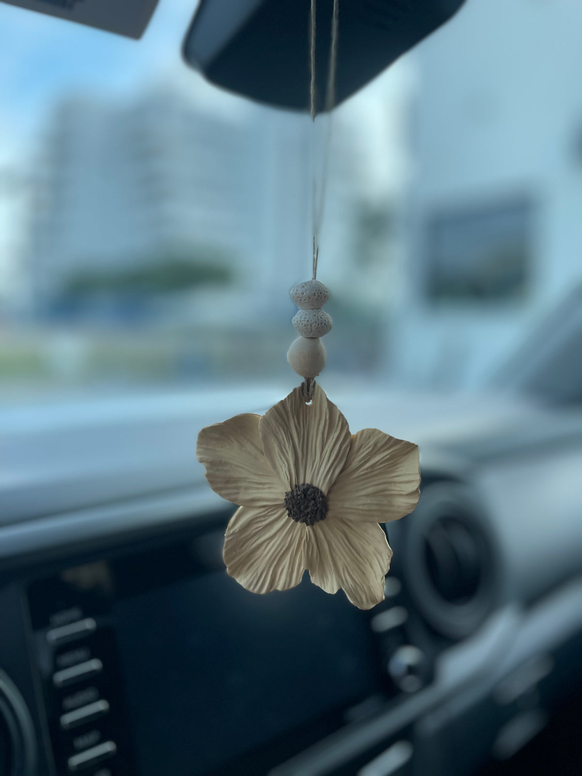 Car charms/diffuser