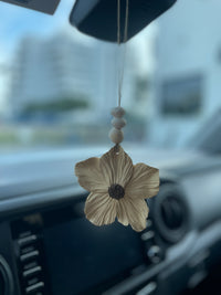Car charms/diffuser